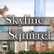 SkylineSquirrel