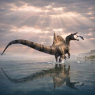 F-Dinosaurs