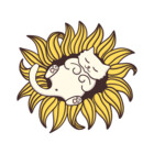 Sollomio