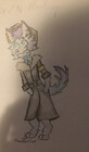Night-Phoenix18