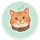 MinnieLittle23