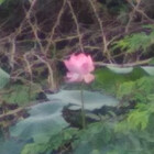 artistomake