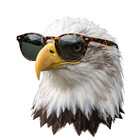 CoolCritterCo