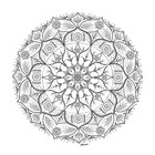 benwdrawings