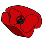 RedPoppyStudio