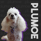 Plumoe