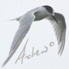 Southcoastphoto