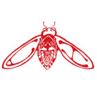 cicadahaus