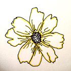 emcshell