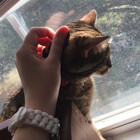 lullsz