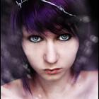 straycat13
