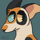 Velocira