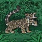 tempestleopard