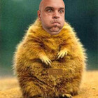 Karapuz