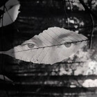 aperture83