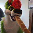 Kaomoro