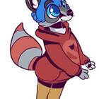 RoadKillRaccoon