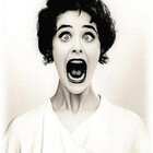 SilentScreamer