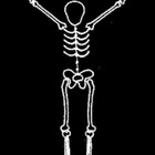 SnazWazSkeleton