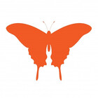 Orangebutterfly