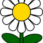 HollyFlora
