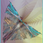 fractalisa