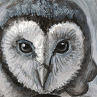 owlkeyme