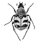 AtelierAM