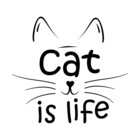 gatoevida