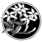 Earendil1789