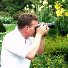 zelimages