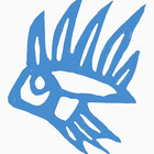 cesparzag