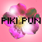 pikipun
