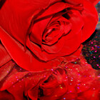 Redbubble profile picture for @Swank