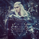 RKThranduil