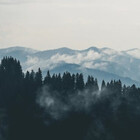 bluemoonsargent