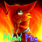 flashtheartist