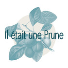 prunebodenez