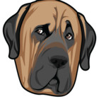 brimthemastiff