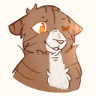 bonycat