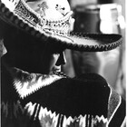 elbladeo