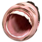 ScrimpyDeluxe
