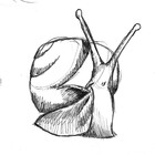 LlamaSpit