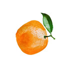 GingerLemon