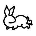 Pirave