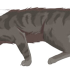 acetail