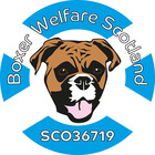 boxerwelfare