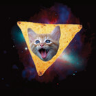 nachocat