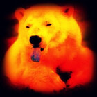 Dedro