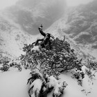 MichaelGayPhoto